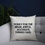 11-B-Cushion-Pillow-2nd-Sorry-for-the-mean-funny-rude-offensive_650x